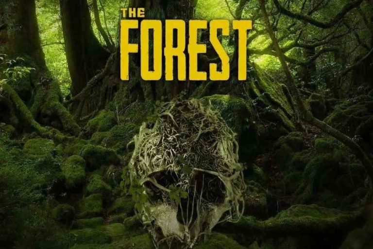 The Forest İndir – Full PC Oyun – Multiplayer Online Türkçe 2025