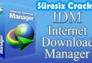 Internet Download Manager Full İndir 6.42 Build 58 + IDM Crack