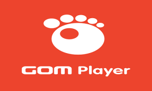 GOM Player Full İndir 2.4.0 Ücretsiz - Türkçe + Tema [2025]