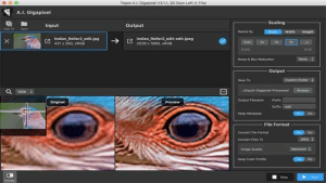 Topaz Gigapixel AI Full İndir - v8.0.2 Görüntü Netleştir (x64) Türkçe