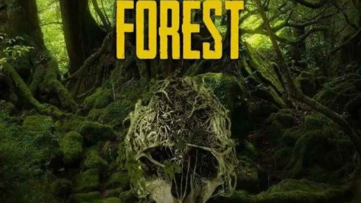 The Forest İndir – Full PC Oyun – Multiplayer Online Türkçe 2025