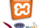 Download XAMPP 8.2.12 Gratis - Full Türkçe untuk PC
