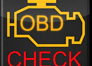 Download Torque Pro v1.12.108 Gratis - Full Türkçe untuk Mod Apk
